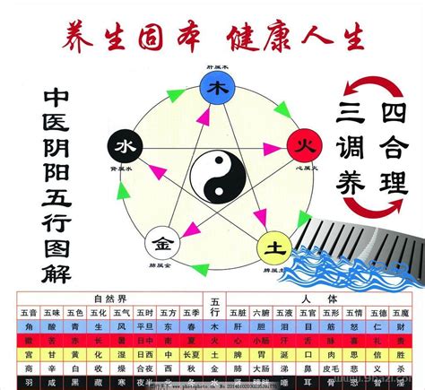 金木水火土順序|五行